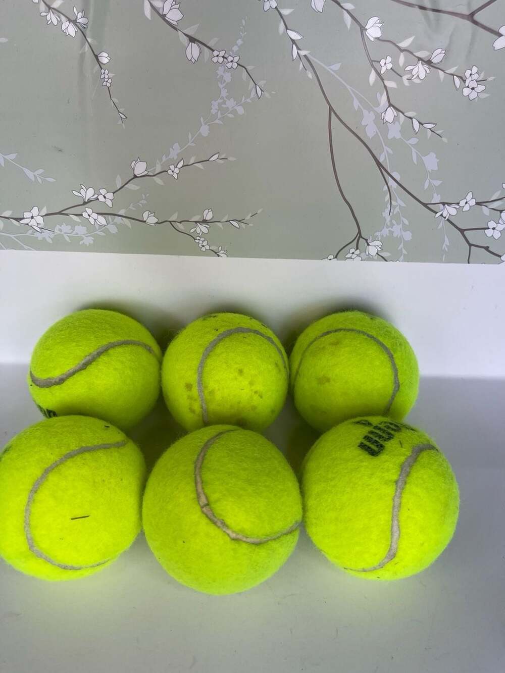 Wilson Tennis Balls Used 6-Pack